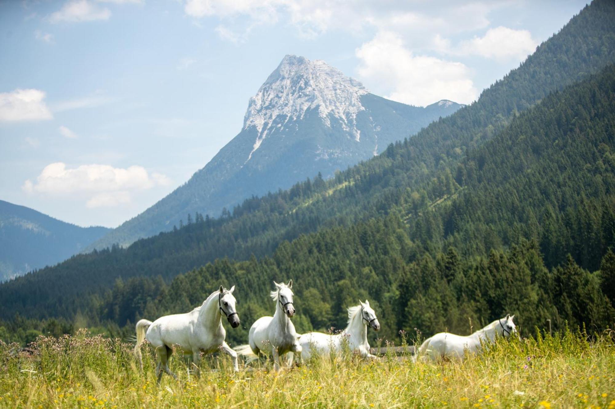Posthotel Achenkirch Resort And Spa - Adults Only Bagian luar foto