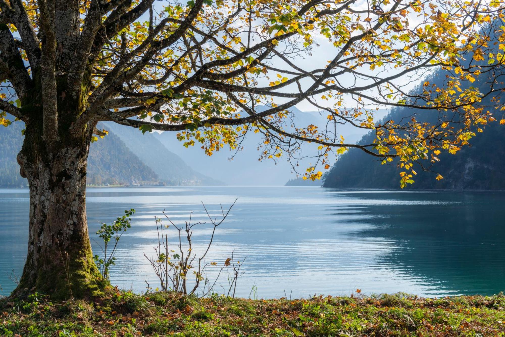 Posthotel Achenkirch Resort And Spa - Adults Only Bagian luar foto